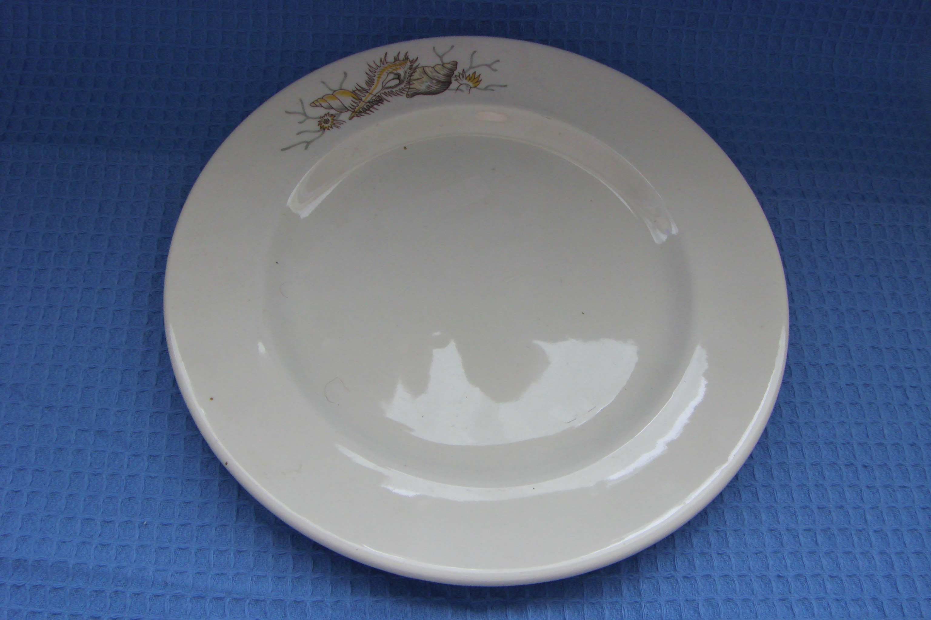 SEASHELL DESIGN LARGE SIZED DINNER PLATE FROM THE ORIENT LINE